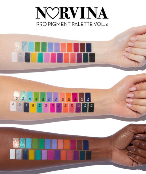 ANASTASIA Norvina Pro Pigment Palette Vol 6