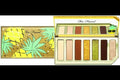 TOO FACED Tutti Frutti Sparkling Pineapple Palette