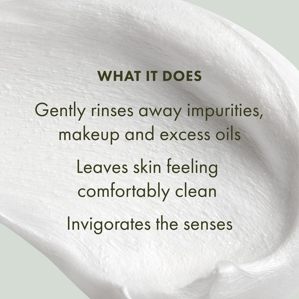 ORIGINS Checks and Balances Face Wash