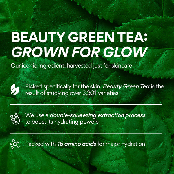 INNISFREE Green Tea Caffeine Bright-Eye Serum
