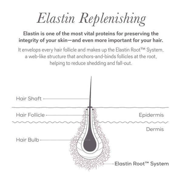 NULASTIN Brow Shape Altering Serum